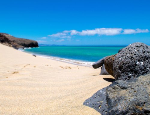 8 zaujímavostí a možností zábavy na ostrove Fuerteventura
