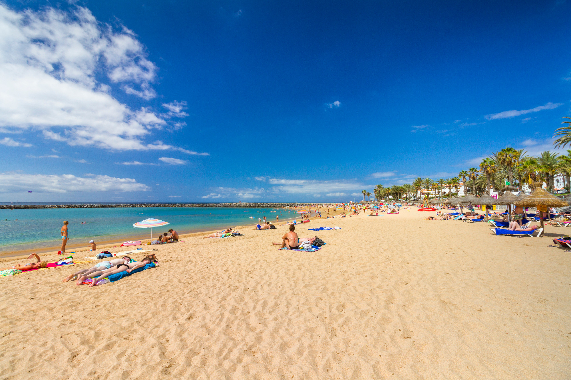 Čo treba vedieť o Tenerife – 5 kľúčových otázok