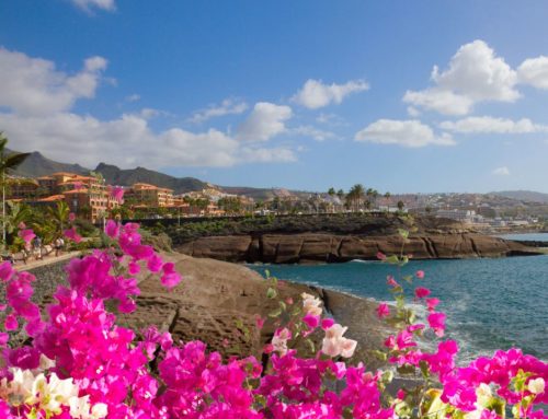 Jar na Tenerife: fascinujúce farby, nenapodobiteľná atmosféra