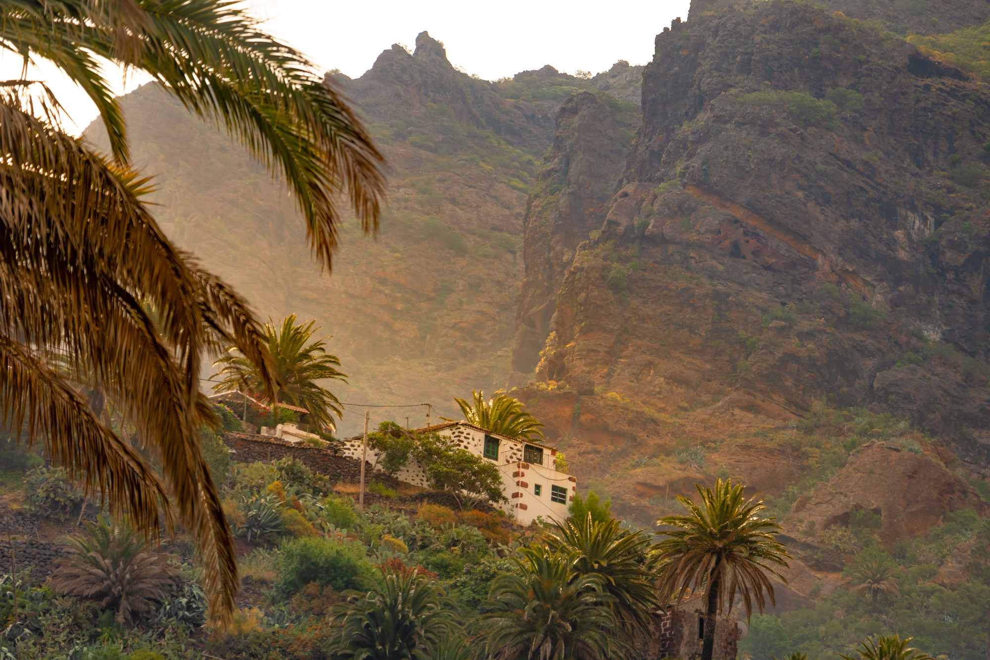 Jar na Tenerife fascinujúce farby, nenapodobiteľná atmosféra