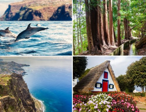 Madeira: Poznávací zájazd do srdca Atlantiku s ViaSale Travel