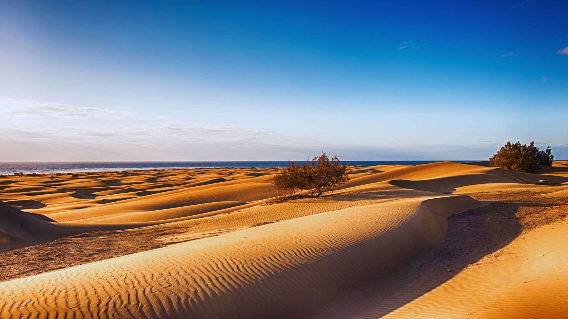 Gran Canaria Duny Maspalomas