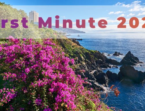 First Minute Madeira 2025 s ViaSale Travel