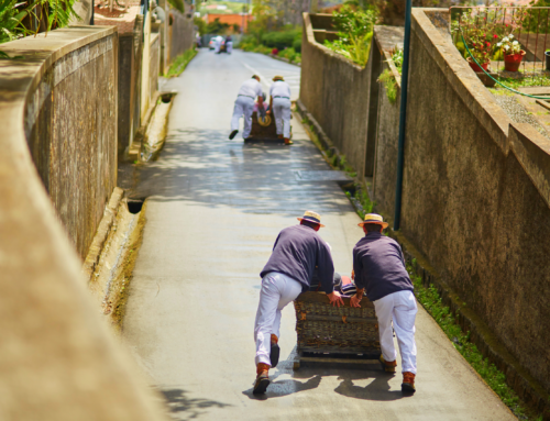 Funchal: Srdce ostrova Madeira, ktoré vás očarí