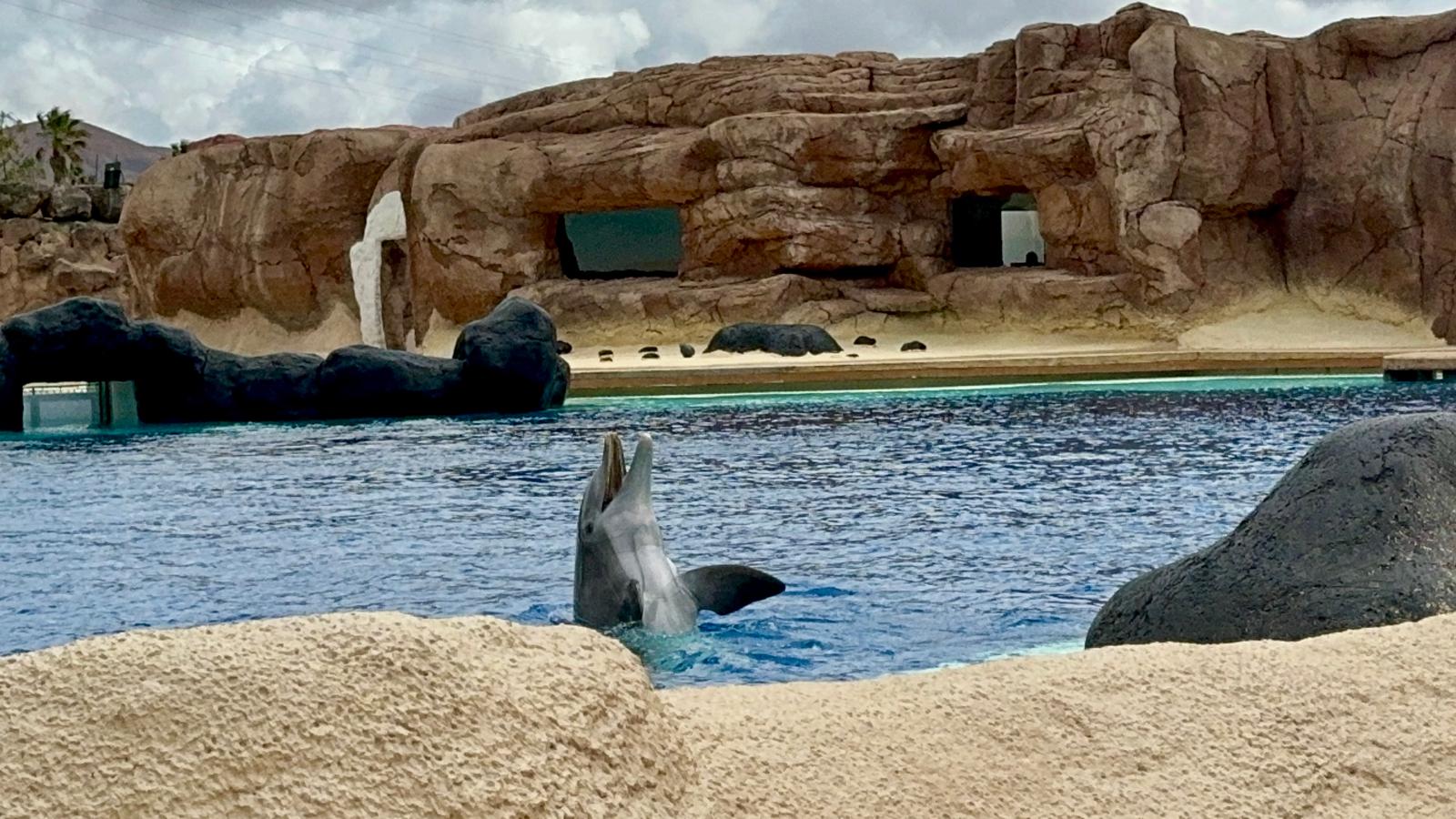 lanzarote, Rancho Texas Park