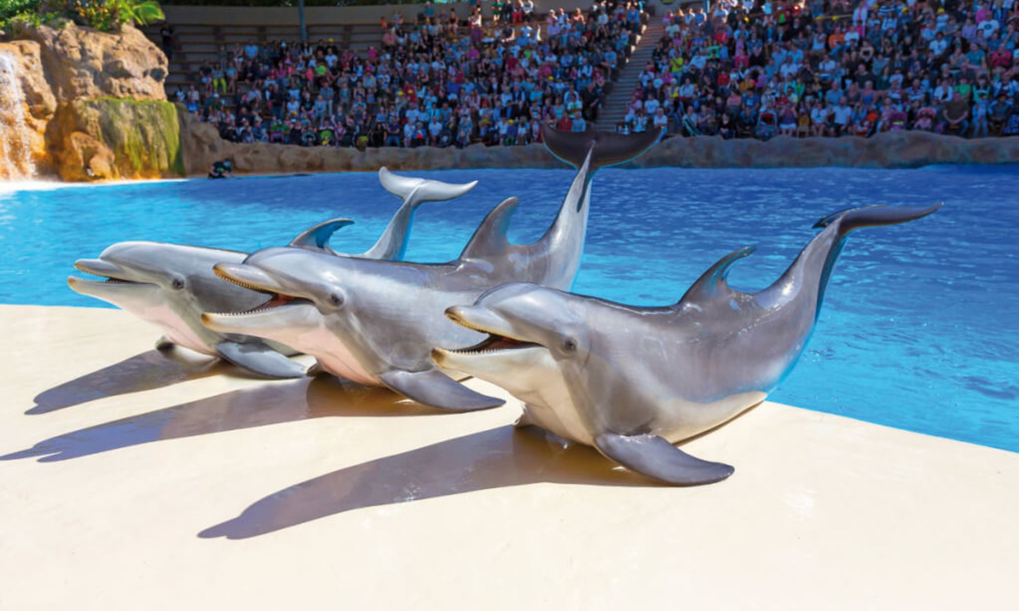 Loro Park, Tenerife