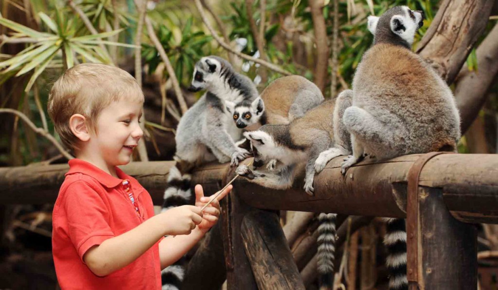 OASIS PARK