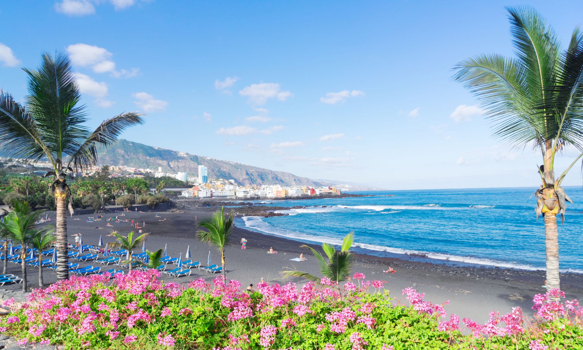 Tenerife sever