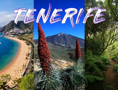 Tenerife – Najrozmanitejší klenot Kanárskych ostrovov