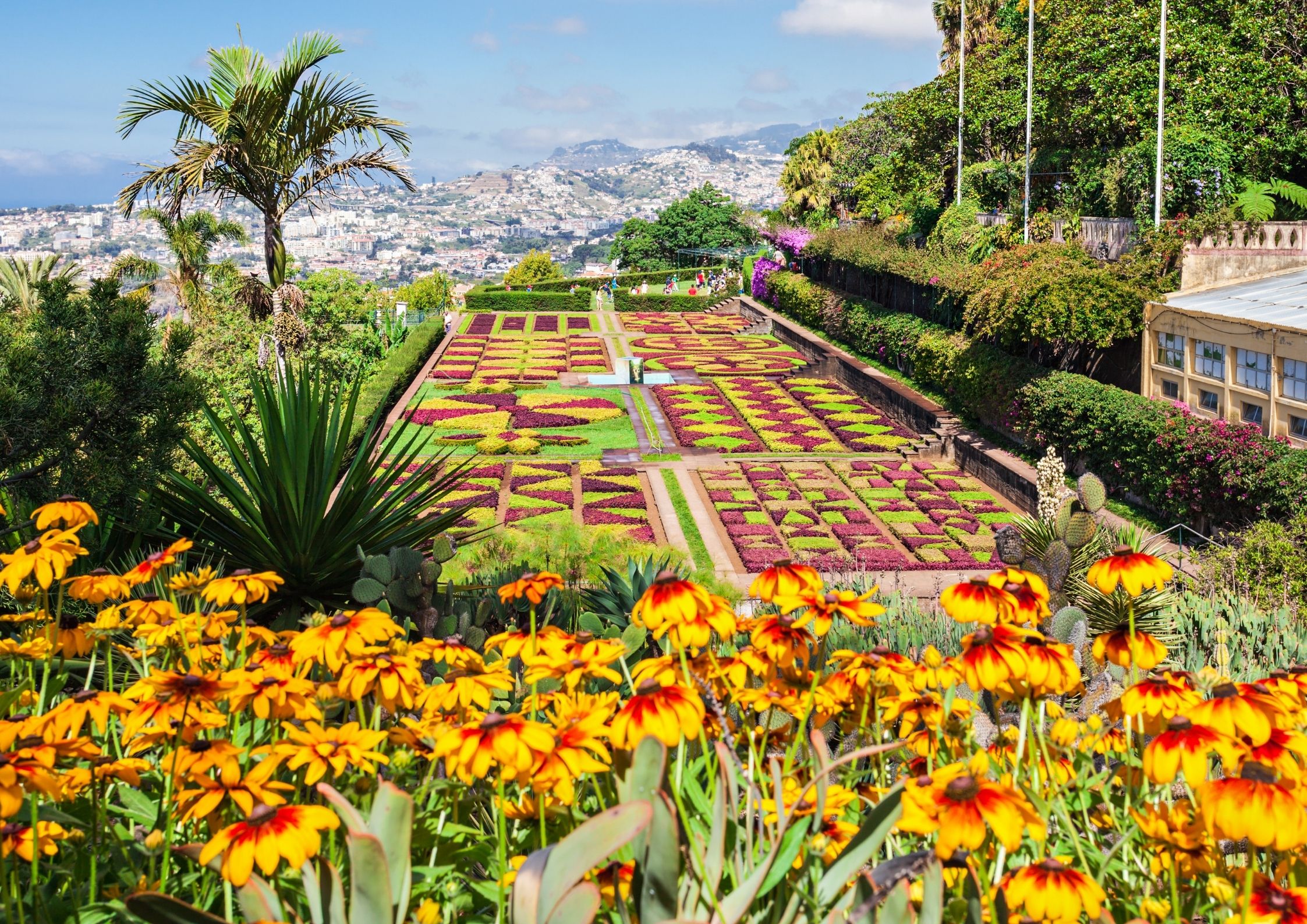 Madeira, rastliny