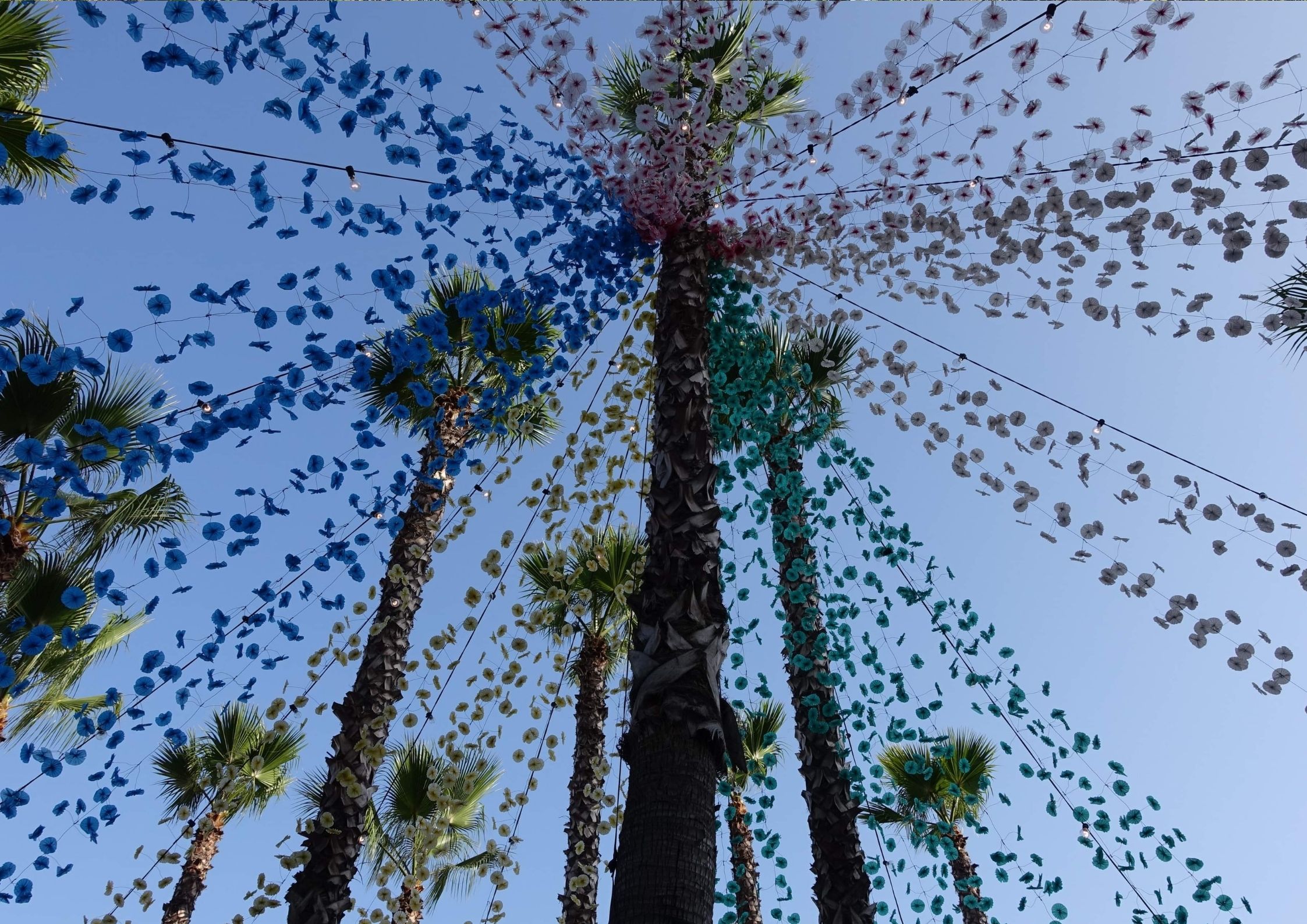 Festival, Madeira