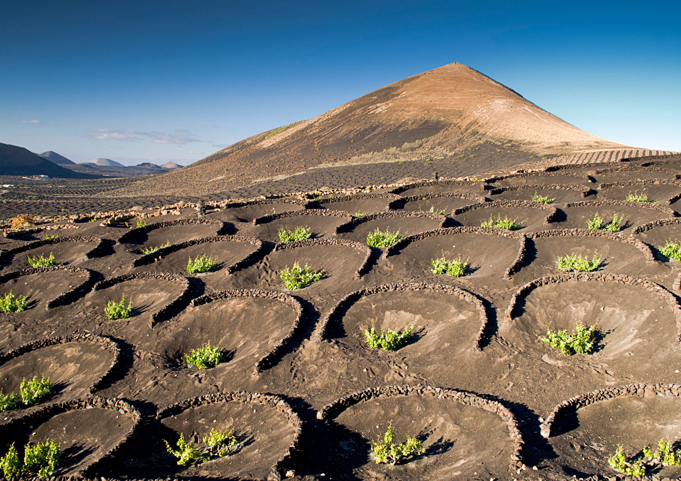 La Geria, Lanzarote