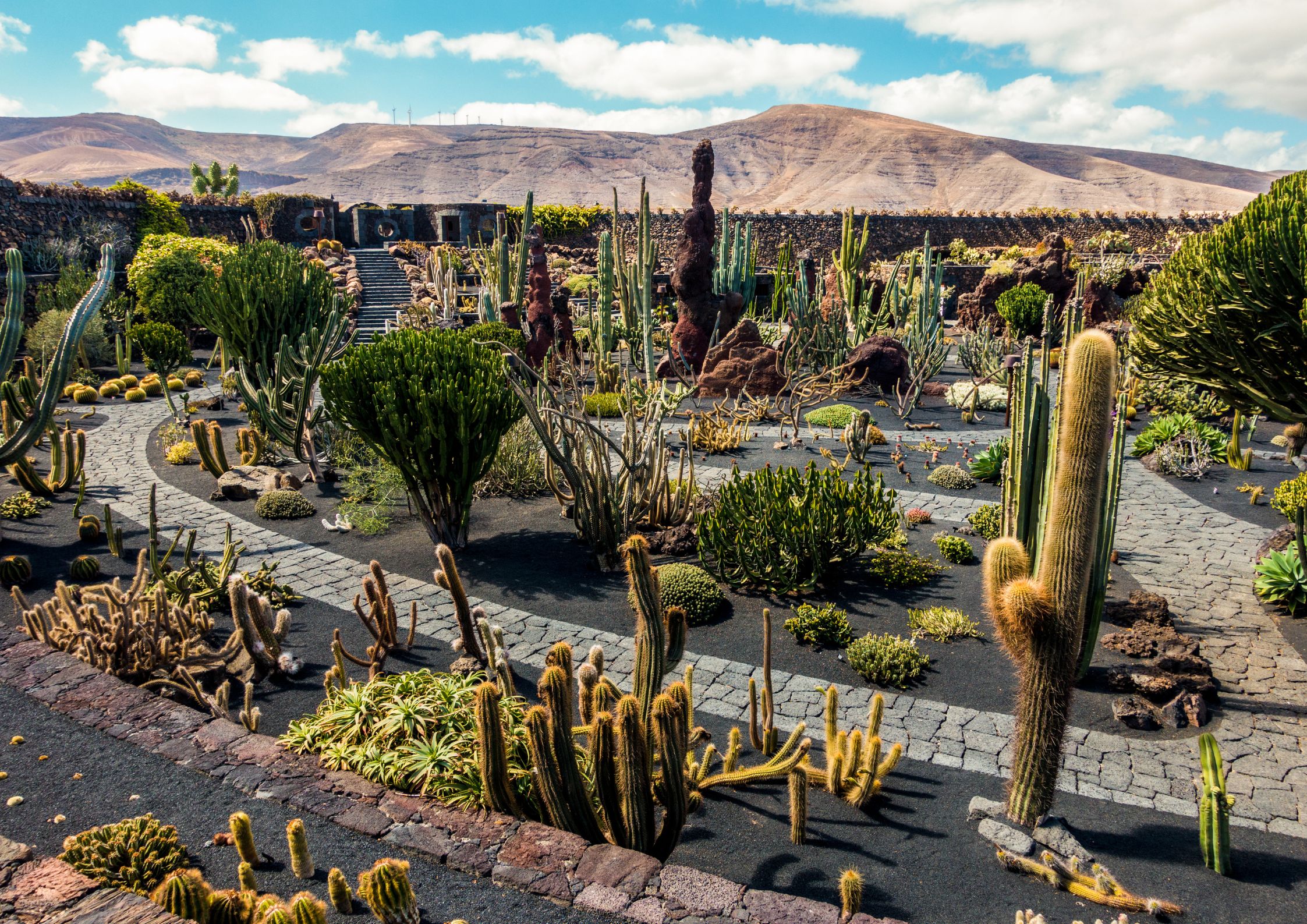 Cactus Garden Lanzarote