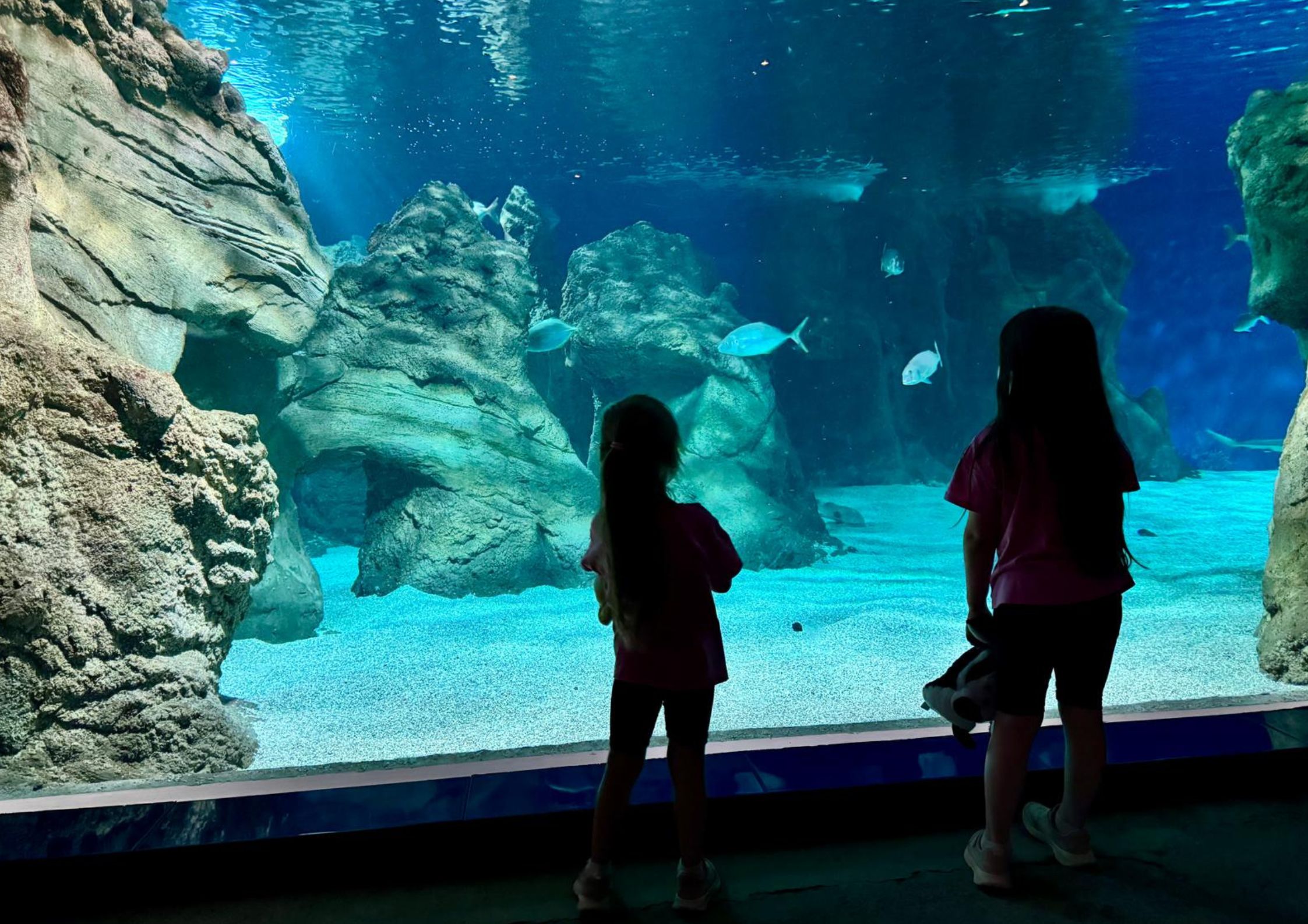 Lanzarote Aquarium