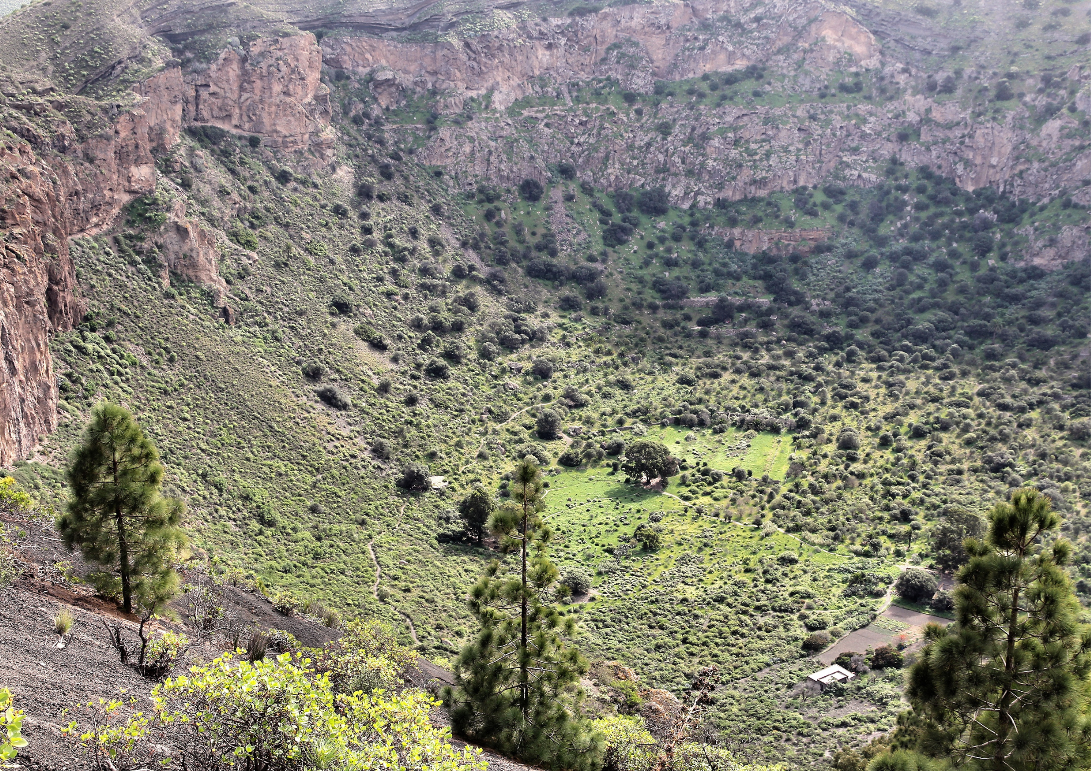 Bandama krater, Gran Canaria