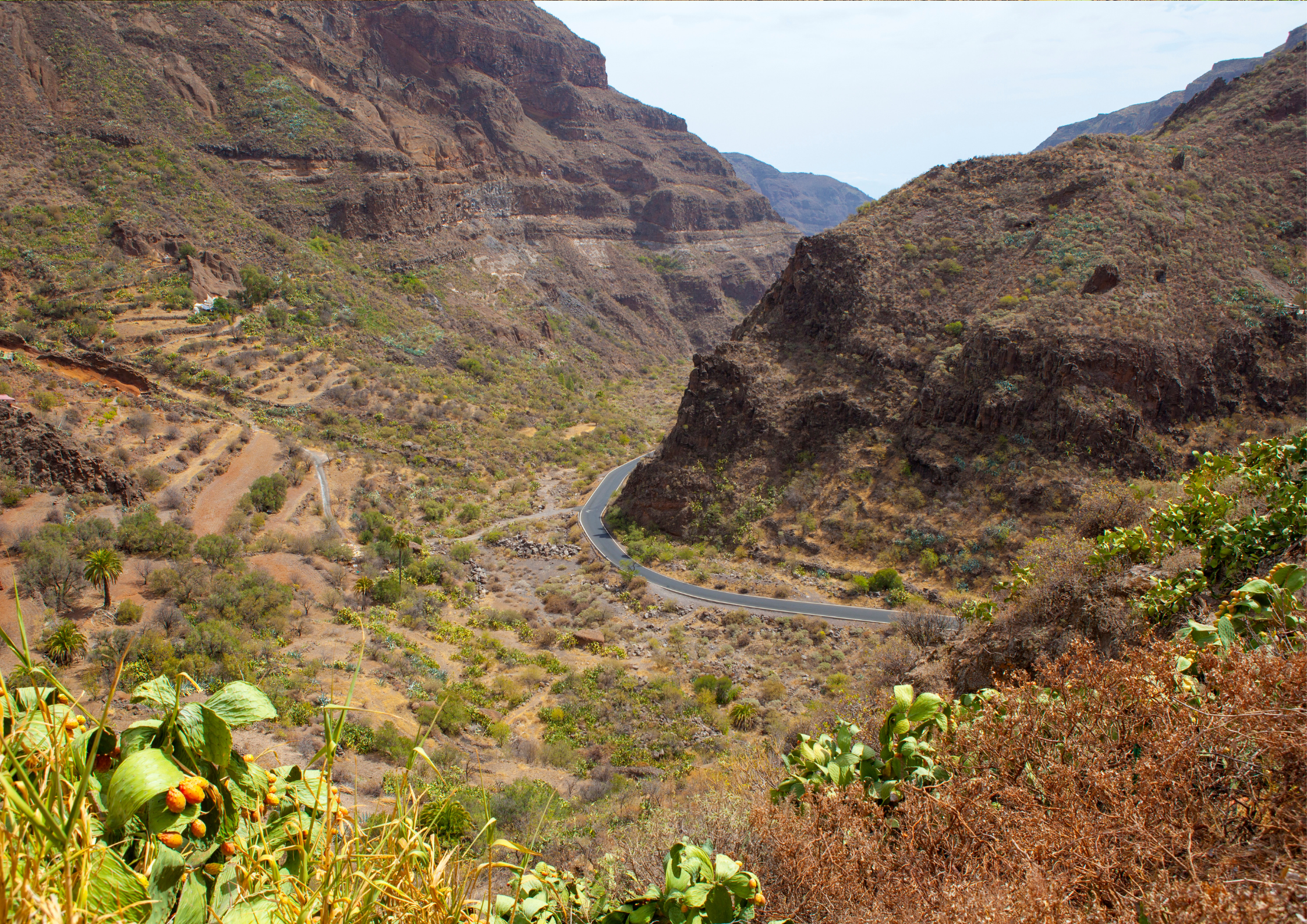  Barranco de Guayadeque – a rejtett kincs barlanglakásokkal