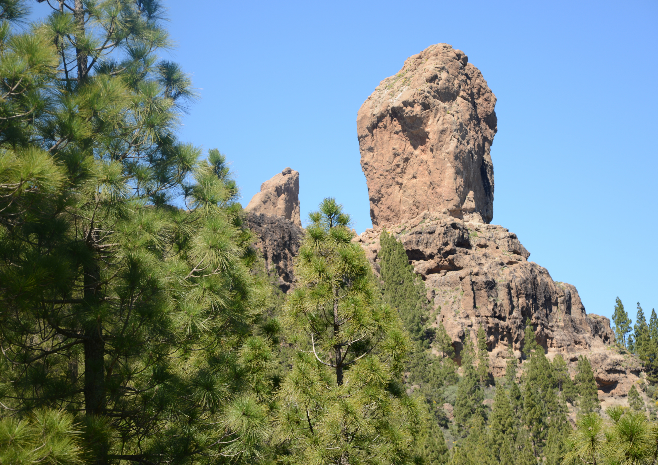 hory, gran canaria