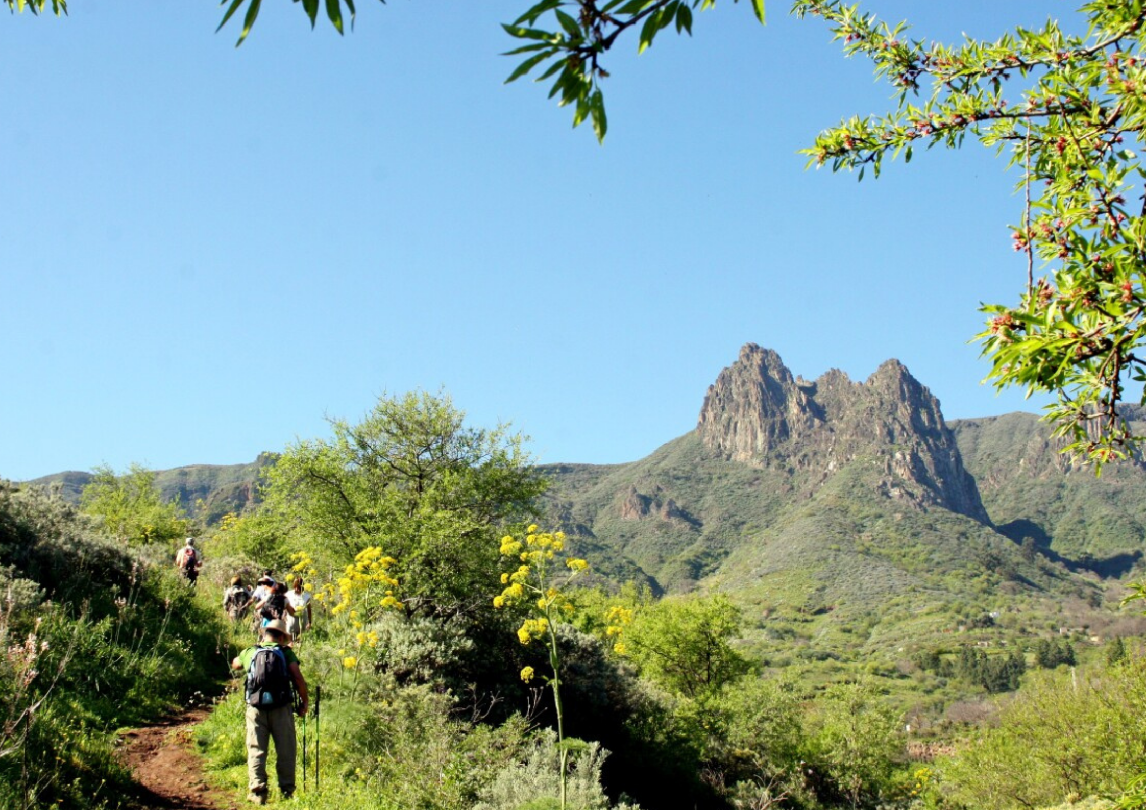Gran Canaria, treking