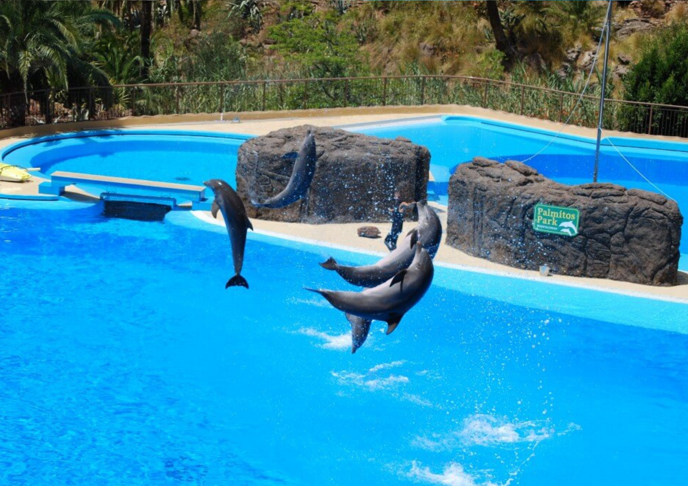 Palmitos Park 