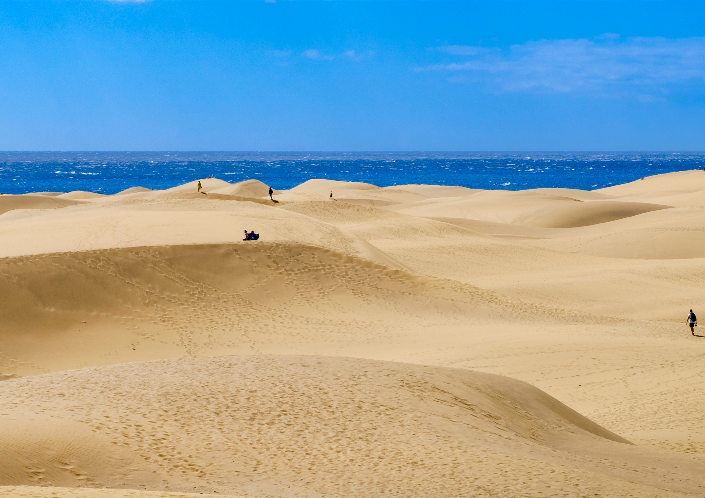 Duny Maspalomas